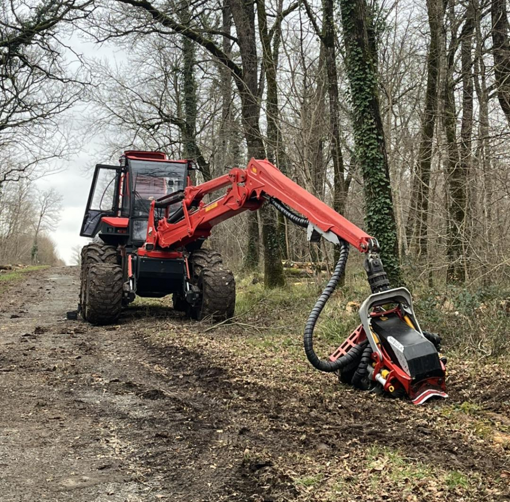 Abatteuse NISULA N6 de 2024